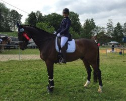 dressage horse One Last Hope (Rhinelander, 2007, from Dutch Capitol)