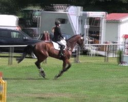 jumper Purlington Pablo (Hanoverian, 2007, from Perigueux)