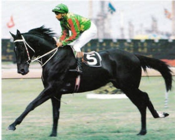 stallion Double Century xx (Thoroughbred, 1975, from Century xx)