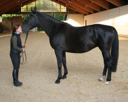 broodmare Farina (Thuringia, 1997, from Gratinus II)