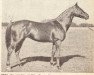 stallion Goya xx (Thoroughbred, 1934, from Tourbillon xx)