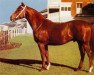 stallion Planet Kingdom xx (Thoroughbred, 1967, from Star Kingdom xx)