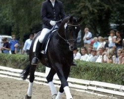 Deckhengst Lord Luciano 2 (Trakehner, 2002, von Enrico Caruso)