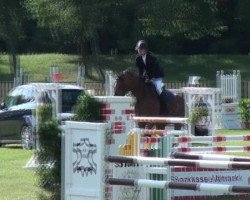 jumper Lissy's Ludwig (Oldenburg show jumper, 2005, from Ludwig von Bayern 168 FIN)