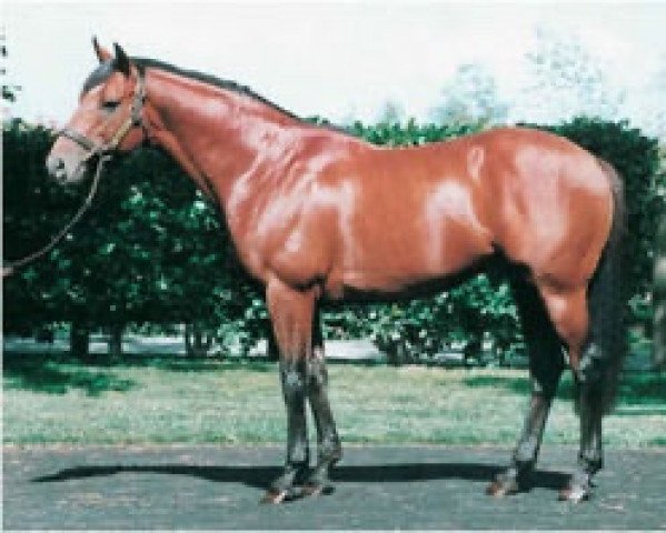 stallion Danske xx (Thoroughbred, 1995, from Danehill xx)