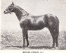 stallion Revelation xx (Thoroughbred, 1932, from Manna xx)