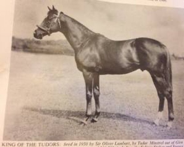 stallion King of the Tudors xx (Thoroughbred, 1950, from Tudor Minstrel xx)
