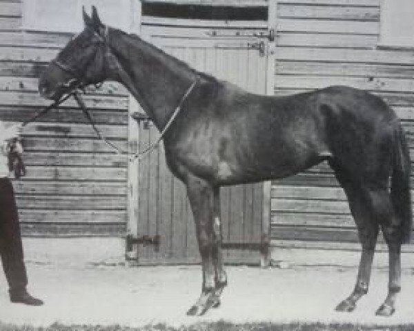 broodmare Abbeydale xx (Thoroughbred, 1976, from Huntercombe xx)