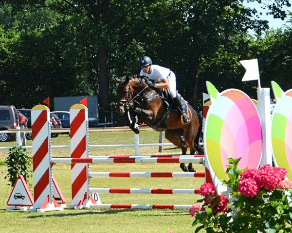 jumper Malaika 57 (Oldenburg show jumper, 2017, from Conthargos)