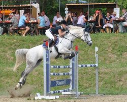 jumper Feivell Fynn Junior (Slovakian Warmblood, 2005, from Feivel Fynn)