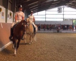 dressage horse Sunny Boy's Brantano (German Riding Pony, 1996, from Zandheuvel's Sunny Boy)