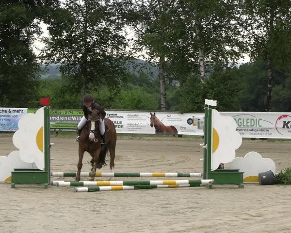 Reitturnier Schwerte-Gut Kückshausen 2022