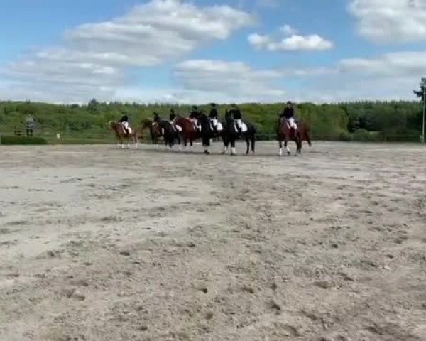 Video von KFG Andechs