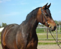 broodmare Fabienne (Rhinelander, 2003, from Florestan I)