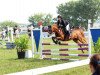 horse Bodethals Bernadett (Welsh-Pony (Section B), 1999, from Tetworth Crimson Lake)