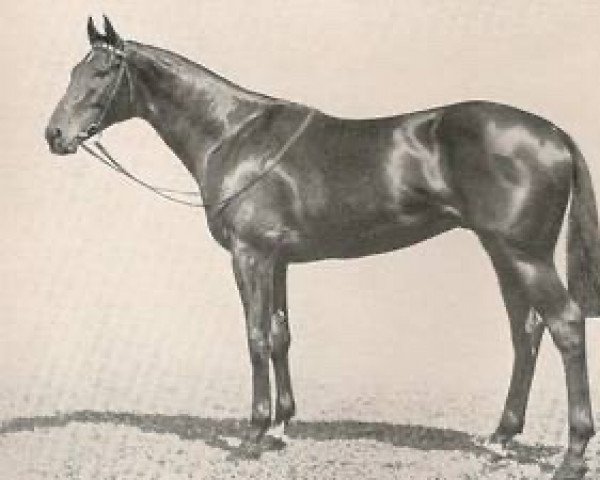 stallion Manitoba xx (Thoroughbred, 1930, from Manna xx)