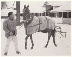 broodmare Charming Alibi xx (Thoroughbred, 1963, from Honeys Alibi xx)