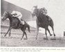 broodmare Goofed xx (Thoroughbred, 1960, from Court Martial xx)