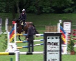 jumper Soccer (German Sport Horse, 2006, from Saccor)