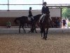 dressage horse Final Fantasy 7 (Oldenburg, 2007, from First Final)