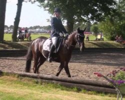 dressage horse Sanchez 32 (Rhinelander, 2006)