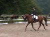 dressage horse Exeter (Westphalian, 2006, from Sibirian Express)