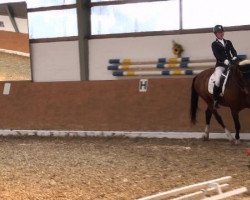 dressage horse Bonito M (Westphalian, 2004, from Belissimo NRW)