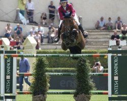 jumper Agana van het Gerendal Z (Zangersheide riding horse, 2011, from Aganix du Seigneur)