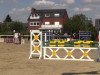 jumper Golden Gloria 4 (German Warmblood, 2005)