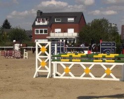 jumper Golden Gloria 4 (German Warmblood, 2005)