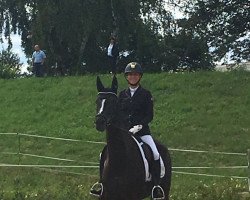 dressage horse Santa Fee 173 (Hanoverian, 2010, from San Amour I)