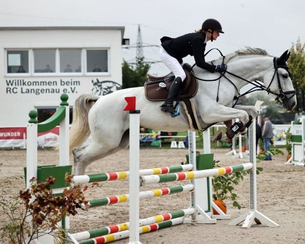 jumper LeLou F (German Sport Horse, 2015, from Chap II)