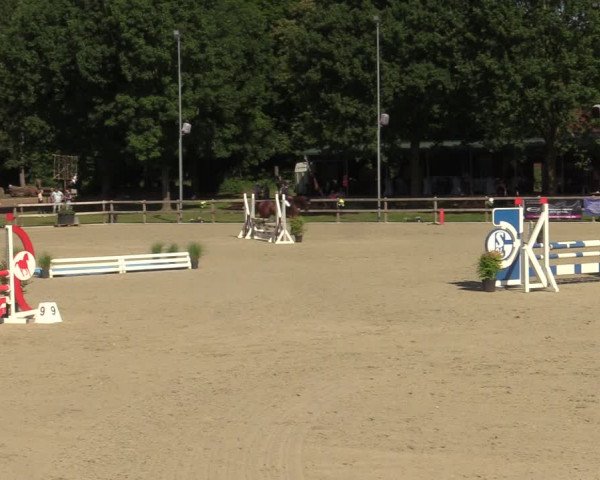 Reitturnier Barlo-Bocholt 2022