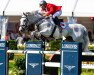 jumper Cheston de La Pomme D'Or Z (Zangersheide riding horse, 2010, from Chippendale Z)