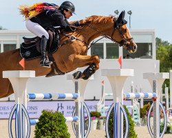 broodmare Katinka Dree Boeken (Hanoverian, 2011, from King Kolibri)