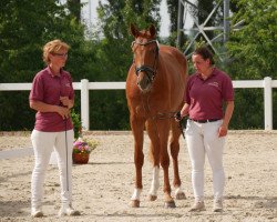 broodmare Bahati (German Sport Horse, 2018, from Secret)