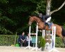 jumper Carlotta 240 (Hanoverian, 2010, from Canstakko)