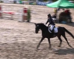 dressage horse Farah-Diba (Rhinelander, 1997, from Florestan I)