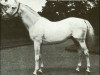 stallion Roi Herode xx (Thoroughbred, 1904, from Le Samaritain xx)
