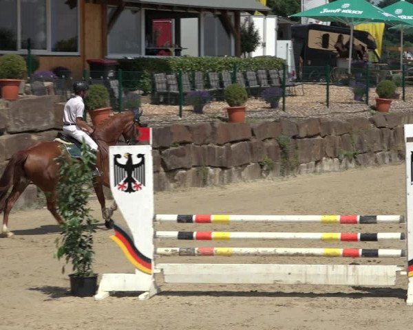Reitturnier Lindlar-Süttenbach 2022