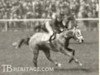 stallion Badruddin xx (Thoroughbred, 1931, from Blandford xx)