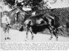broodmare Alope xx (Thoroughbred, 1909, from Gallinule xx)
