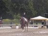 dressage horse What a Joy 4 (Hanoverian, 1998, from Wolkenstein II)