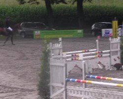 jumper Captain America (Oldenburg show jumper, 2008, from Cornet's Stern)