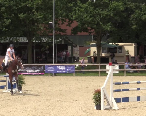 Reitturnier Barlo-Bocholt 2022