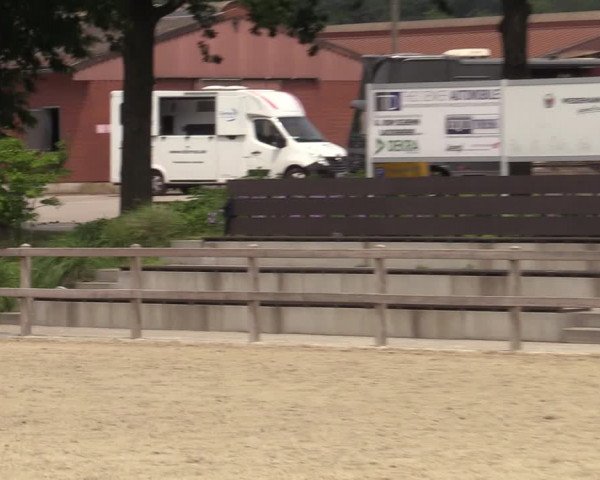 Reitturnier Barlo-Bocholt 2022