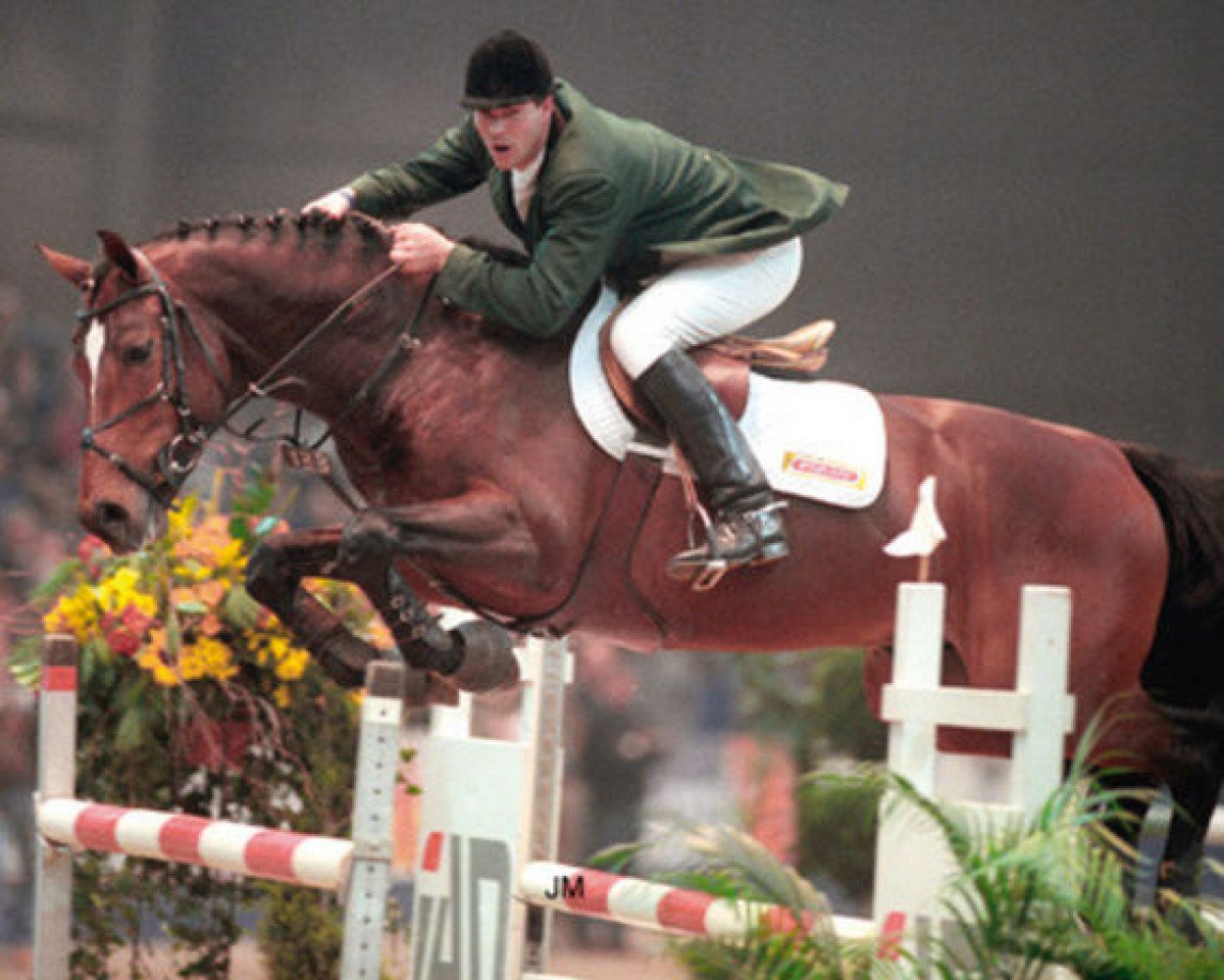 Deckhengst Mermus R (KWPN (Niederländisches Warmblut), 1994, von Burggraaf)