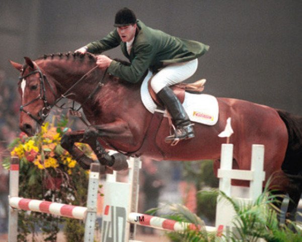 stallion Mermus R (KWPN (Royal Dutch Sporthorse), 1994, from Burggraaf)