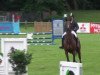 jumper Streulch (German Warmblood, 2006, from Saccor)