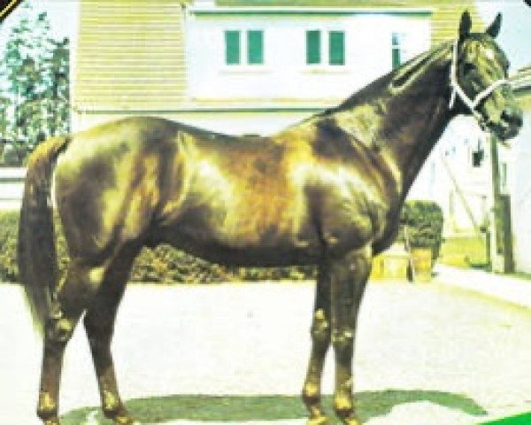 stallion Mellay xx (Thoroughbred, 1961, from Never Say Die xx)
